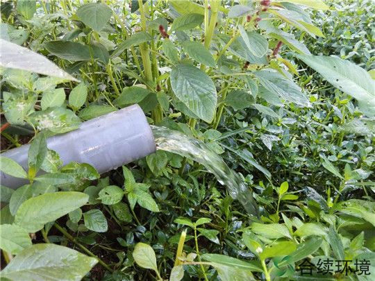 合續(xù)環(huán)境助力大理雙廊污水治理出水調(diào)試視頻