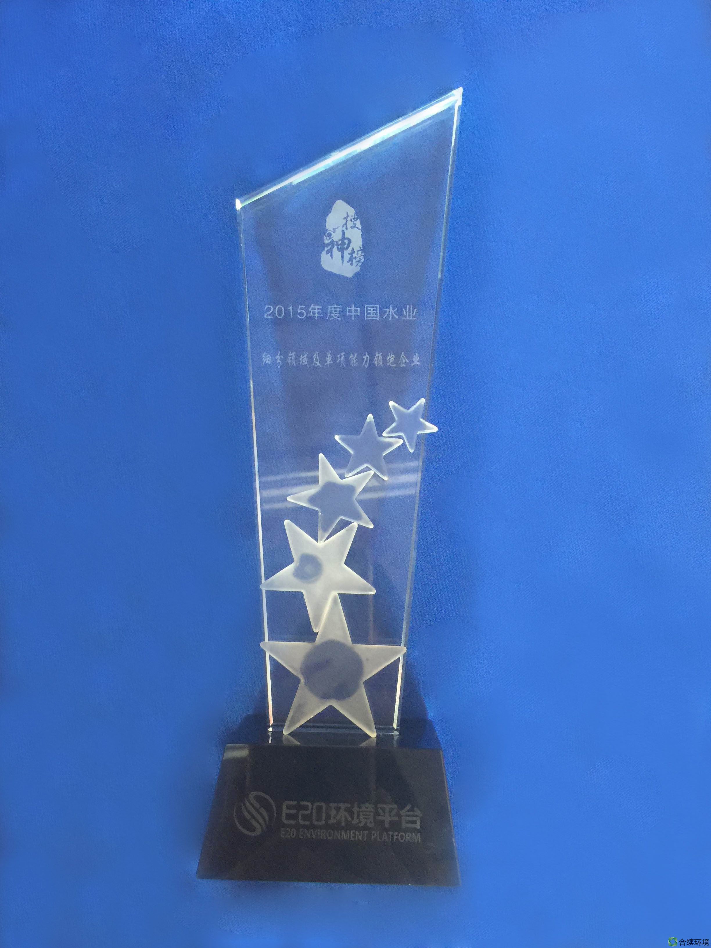 2015年度中國水業細分領域及單項能力領跑企業