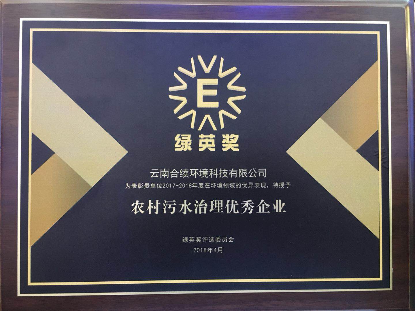 合續環境榮獲“綠英獎—農村污水治理優秀企業”榮譽稱號